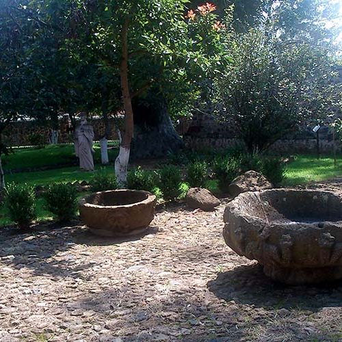 Museo Arboreta Tiripetio