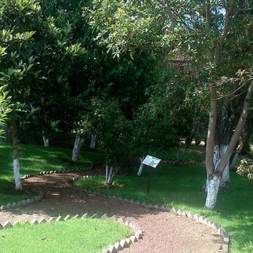 Museo Arboreta Tiripetio