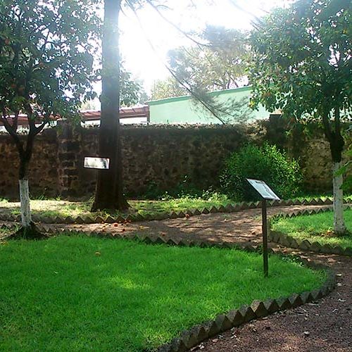 Museo Arboreta Tiripetio