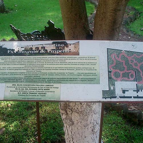 Museo Arboreta Tiripetio